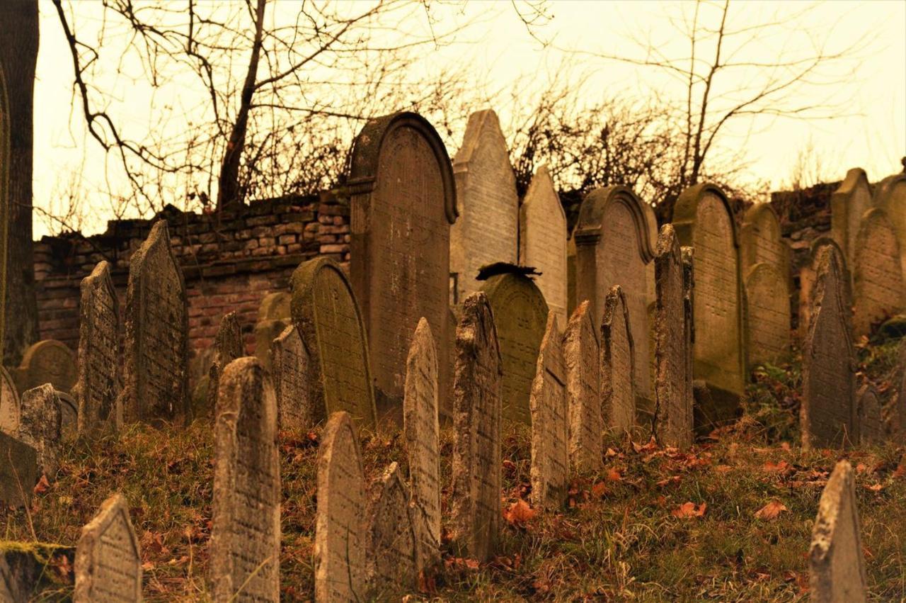 Penzion David Třešť Extérieur photo